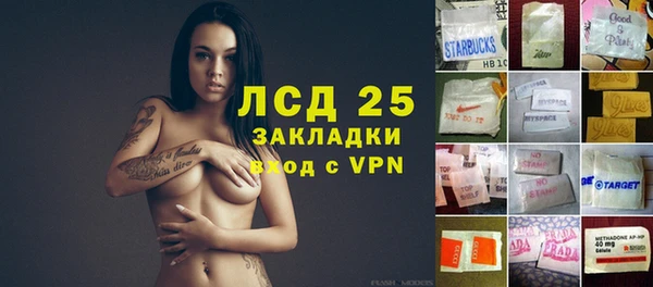 ECSTASY Белокуриха