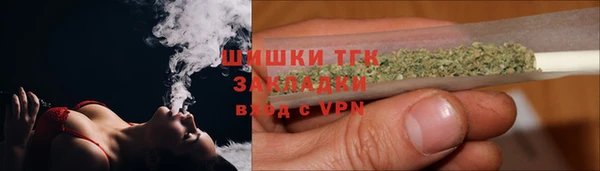 ECSTASY Белокуриха