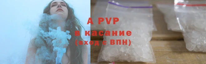 ECSTASY Белокуриха